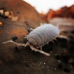 Philip Asher - @therealphilipasher - Instagram