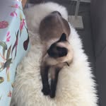 Philip - @philip.bachmeyer - Instagram