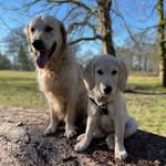 Philip Beal - @philip.beal - Instagram