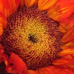 Philip Belanger - @philip.belanger.18 - Instagram
