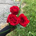 Philip Benoit - @philip.benoit3 - Instagram
