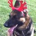 Phil Bigelow - Facebook