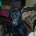 Phillip Blignaut - Facebook