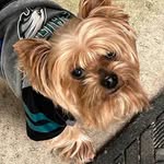 Philip Bodner - @philipbodner - Instagram