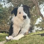 Philip - @philip_the_border - Instagram