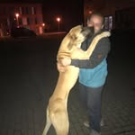 Philip Borsti Marquard - @philipborsti - Instagram