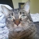 @philip_boss_132_ - Instagram