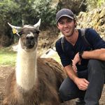 Philip Brewer - @philipbrewer164 - Instagram