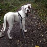 Philip Brewer - @phillbrewer - Instagram