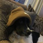 Philip Browning - @philipbrowning960 - Instagram