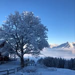 Philippe - @philippe_brugger - Instagram