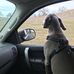 Philip Bryson - Facebook
