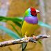 Philip Buck - Facebook