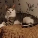 Phillip Buckner - @phillip.buckner.984 - Instagram