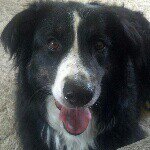 Philip D. Bunge - @bungeboy766 - Instagram