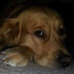 Phil Burrow - @phil.burrow - Instagram