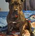 Phillip Butler - Facebook