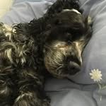 Philip Byers - @philip.byers - Instagram