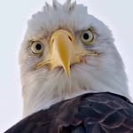 Philip Byers - @philipcbyers - Instagram