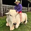 Dr.Philip - @dr.philipcarey - TikTok