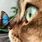 Philip Castle - @philipcastle8 - Instagram