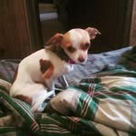 Philip cecil - @philipc21.im.bord - Instagram
