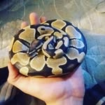 Philip Cecil Stevens - @cuzzynot - Instagram