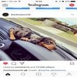 Philip Christopherson - @philip_christ - Instagram