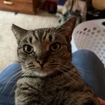 Philip Cleaves - @cleavesphilip - Instagram