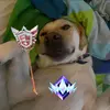 ɍȯɑșɬȩɖ_Ƀȩȩf 帝文 - @cloudy._.philip - TikTok