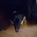 Phillip Coates - Facebook