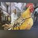 Philip Coker - Facebook
