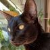 Phillip Coker - Facebook