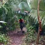 Phil Comeau - @phil_eastern_mountain_tops - Instagram