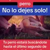 PhillipCondotti - @phillipcondotti1655 - TikTok