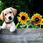 Philip Conrad - @philip.conrad.37604 - Instagram