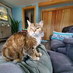 Philip Conrad - @philip_r_conrad - Instagram