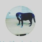 philip ford - @philip__cool - Instagram