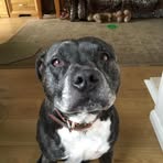 Philip Cousins - Facebook