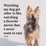 Philip Cousins - @gourmet5242 - Instagram