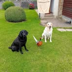 Philip Cousins - Facebook