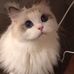 Philip Curry - Facebook