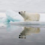 Philip Dalton - @philip.dalton - Instagram