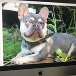 Philip Davies - @tri.bulls.5 - Instagram