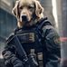 Philip Dickson - Facebook