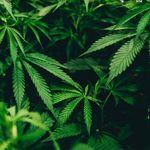 Philip Dominguez - @za_delight710 - Instagram