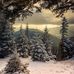 Philip Donovan - Facebook