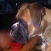 Philip Donovan - Facebook