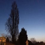 Philip Downer - @philip.downer - Instagram