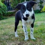 Philip Edgar - @philip.edgar.42 - Instagram